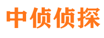 梨树市私家侦探